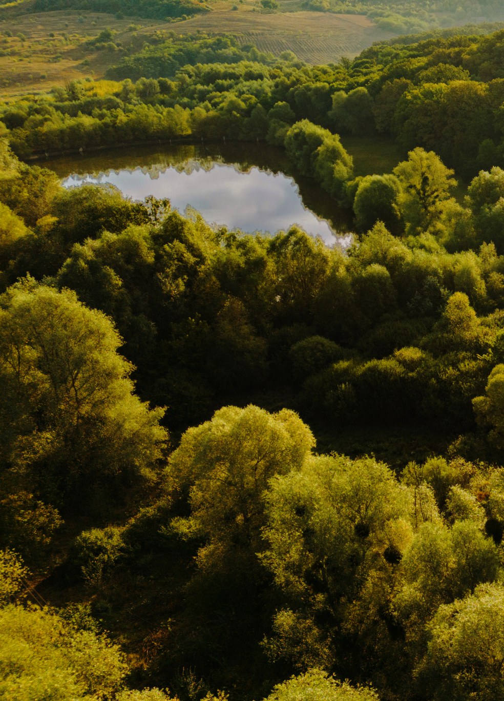 Aerial view of forest and a small lake in the Podlasie region of Poland